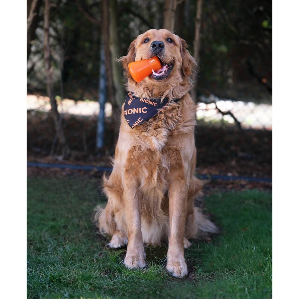 Juguetes ultra resistentes para perros BIONIC Treat Shaker