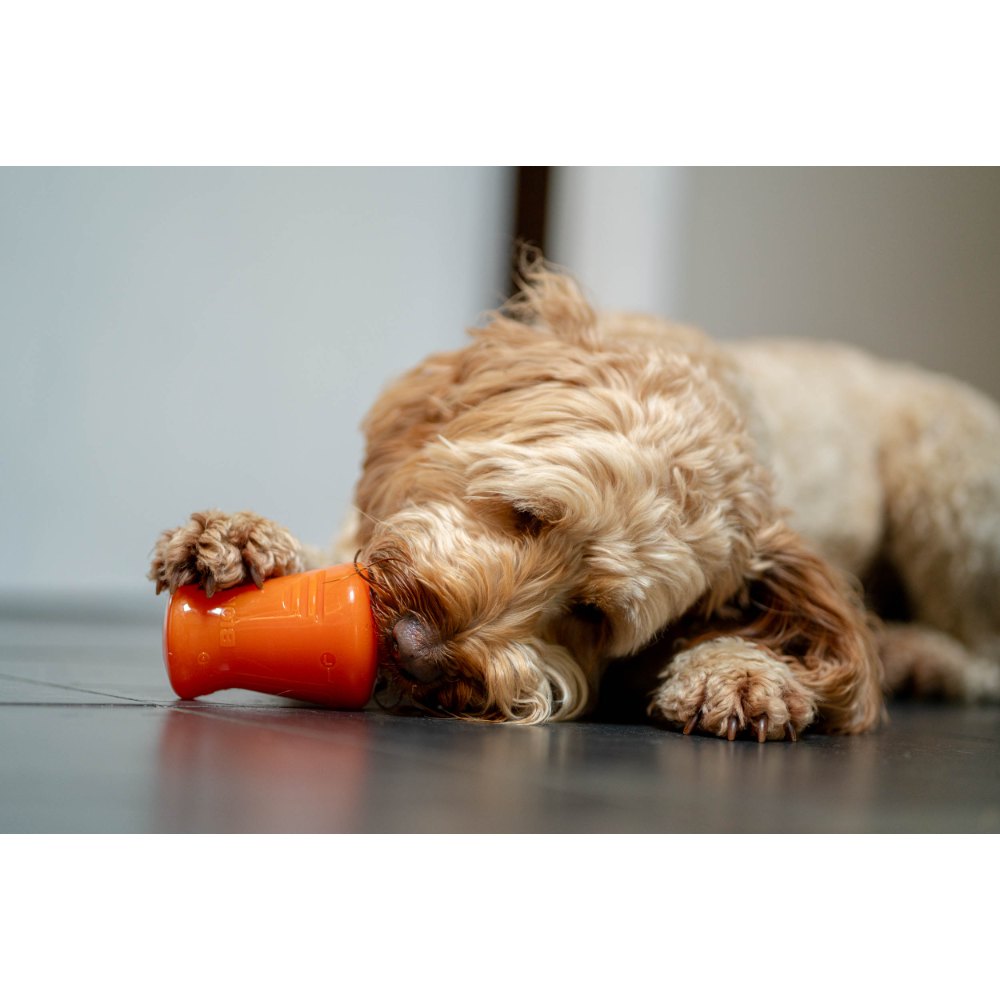 Juguetes ultra resistentes para perros BIONIC Treat Shaker
