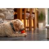 Juguetes ultra resistentes para perros BIONIC Treat Shaker