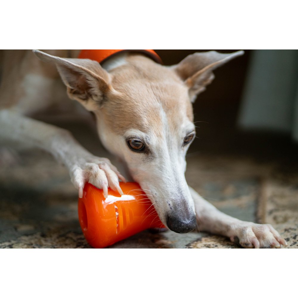 Juguetes ultra resistentes para perros BIONIC Treat Shaker