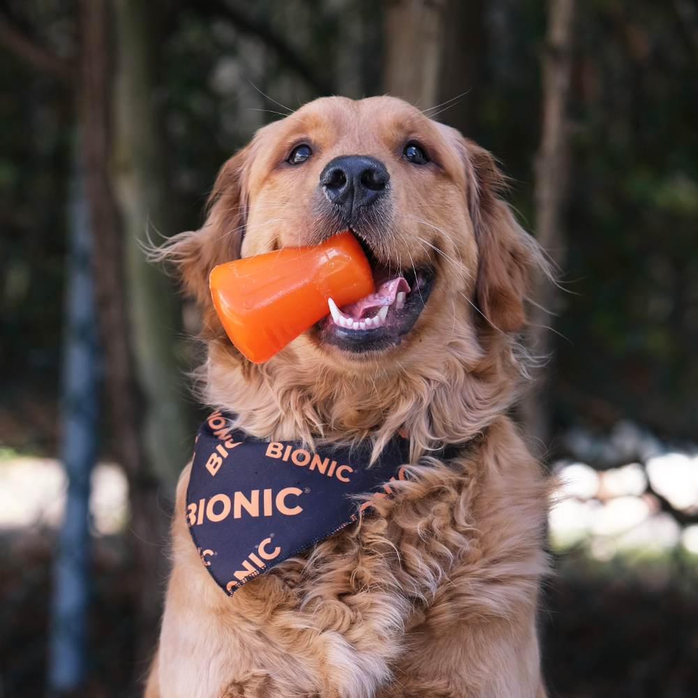 Juguetes ultra resistentes para perros BIONIC Treat Shaker