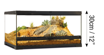 Pro Terrariumde Cristal Exo Terra  Mediano 60x45cm