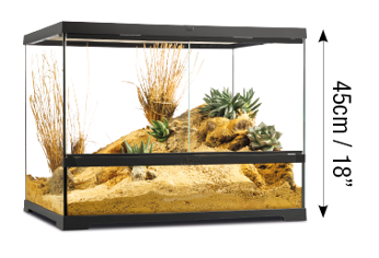 Pro Terrariumde Cristal Exo Terra  Mediano 60x45cm