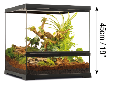 Pro Terrarium de Cristal Exo Terra  Pequeño 45x45cm