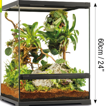 Pro Terrarium de Cristal Exo Terra  Pequeño 45x45cm