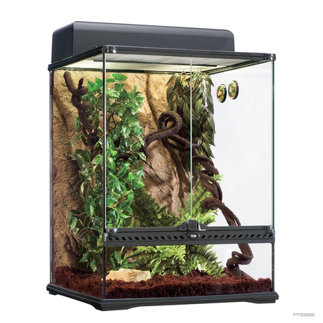 Kit de terrario tropical Exo Terra