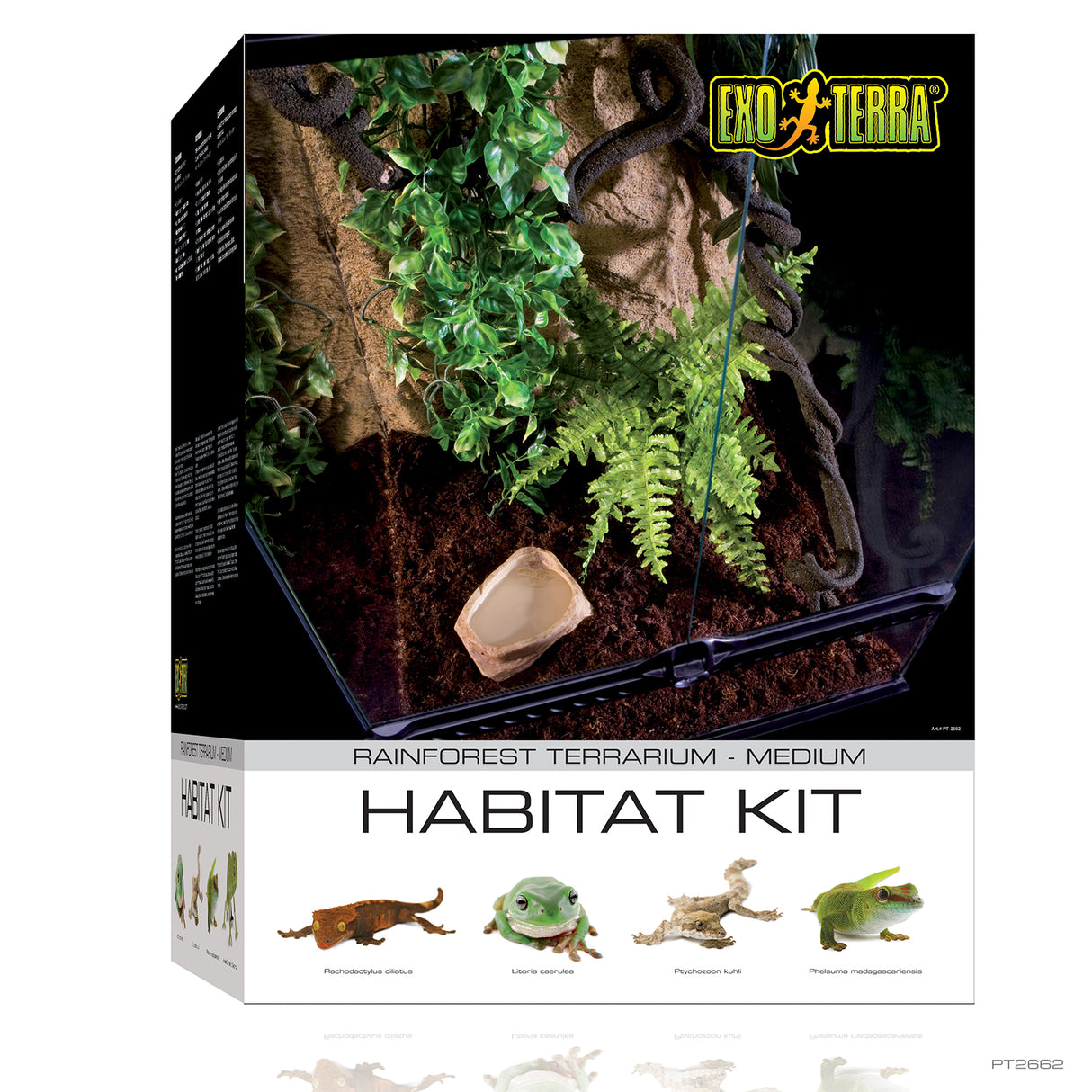 Kit de terrario tropical Exo Terra