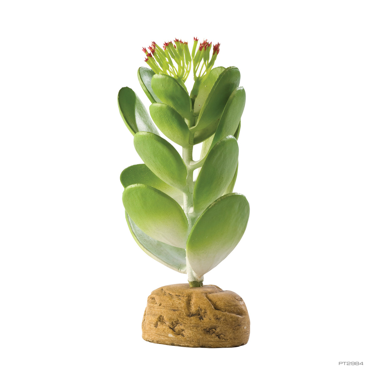 Cactus artificial jade Exo Terra