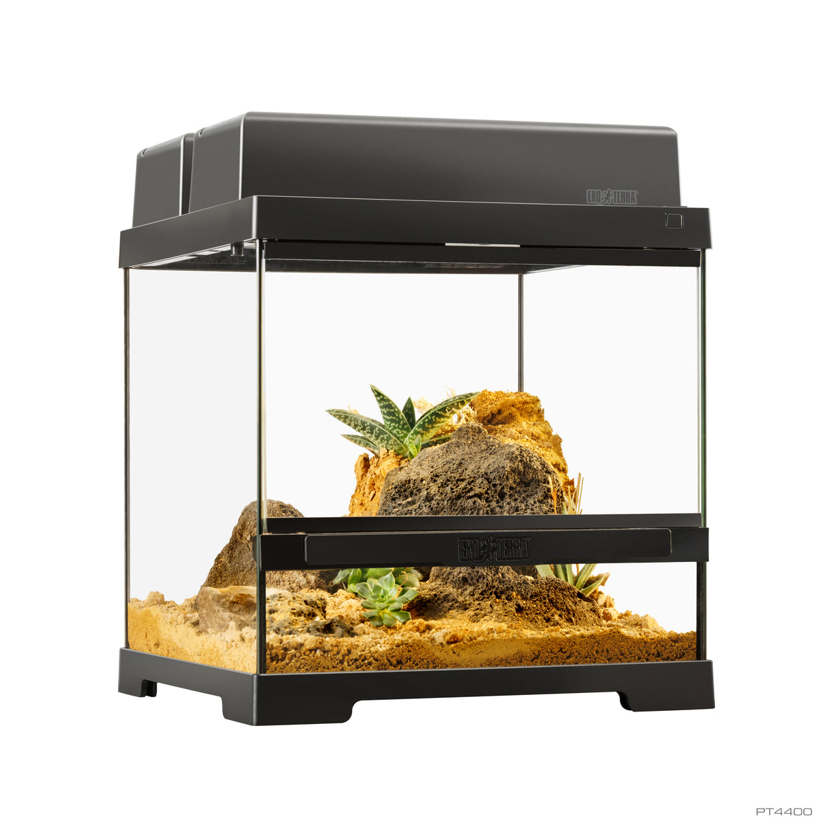 Pro Terrarium de Cristal Exo Terra X-Pequeño 30x30cm