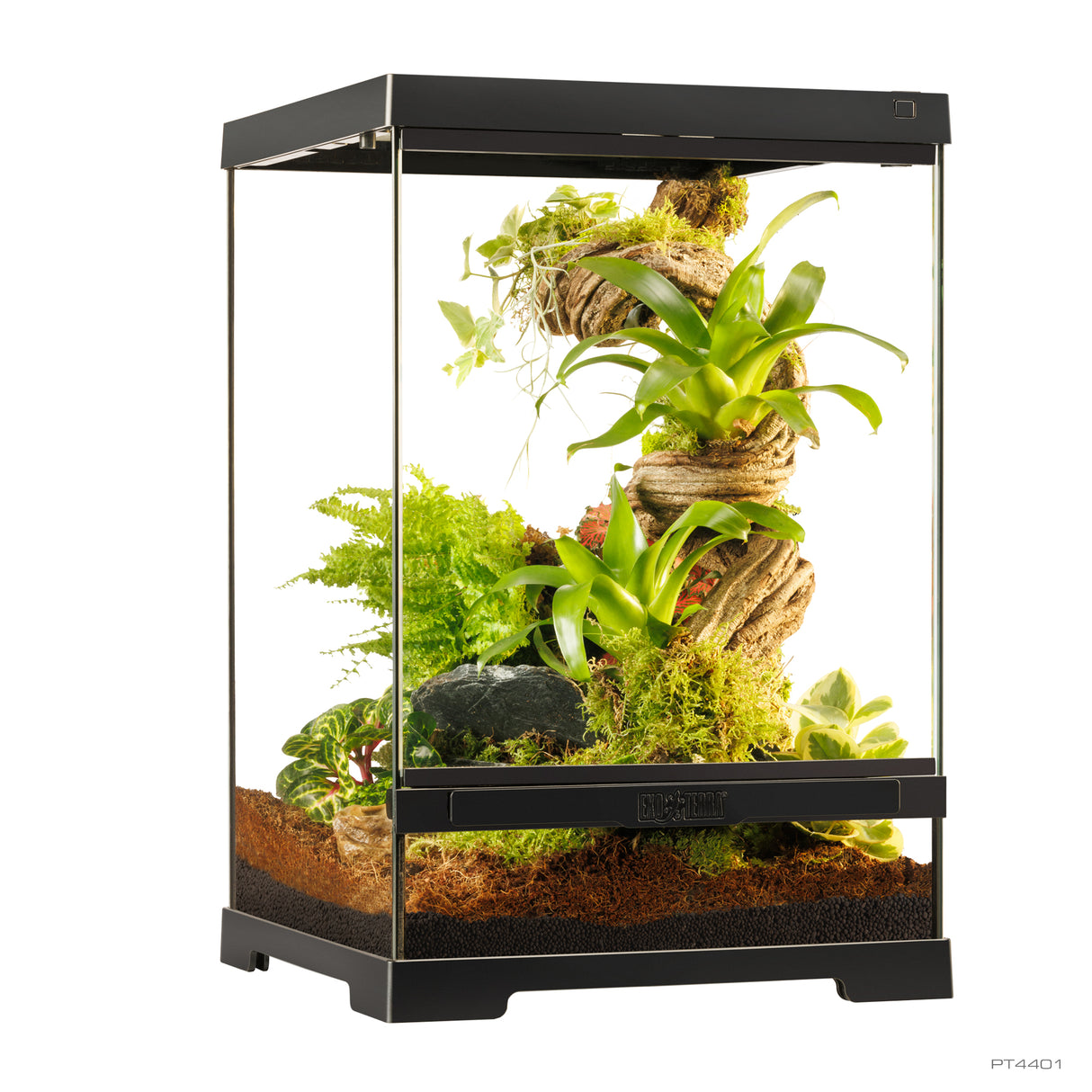 Pro Terrarium de Cristal Exo Terra X-Pequeño 30x30cm