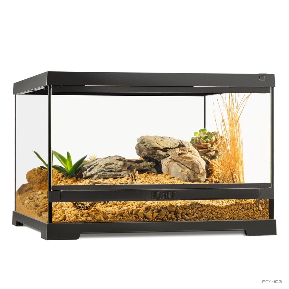 Pro Terrarium de Cristal Exo Terra Pequeño 45x45cm