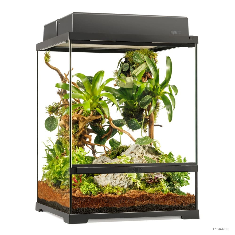 Pro Terrarium de Cristal Exo Terra Pequeño 45x45cm
