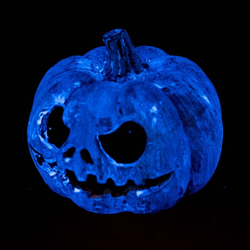 Calabaza refugio que brilla en la oscuridad Exo Terra