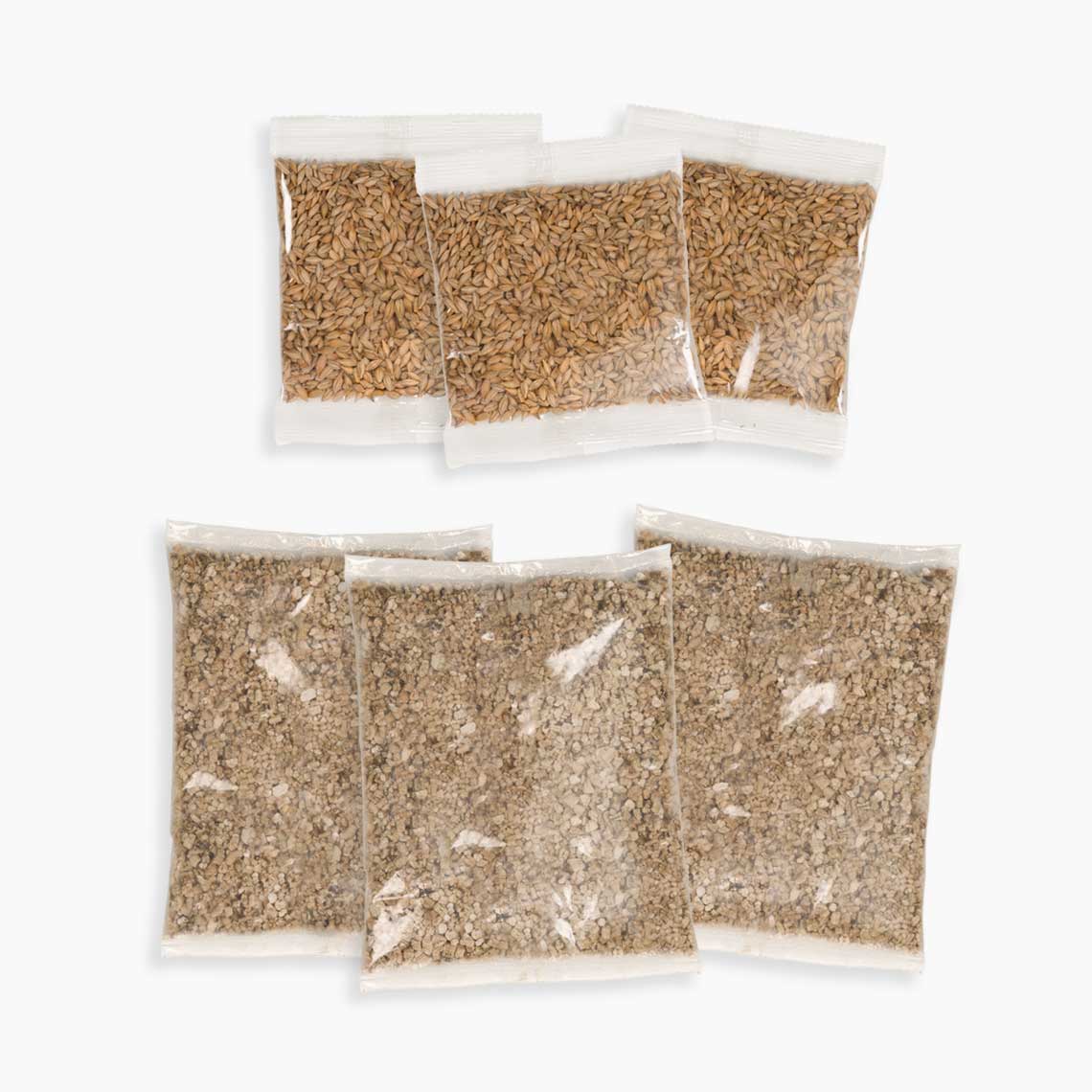 Kit de hierba Cat Grass Kit